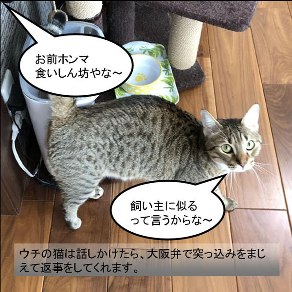 f:id:zutarou:20191204171437j:plain