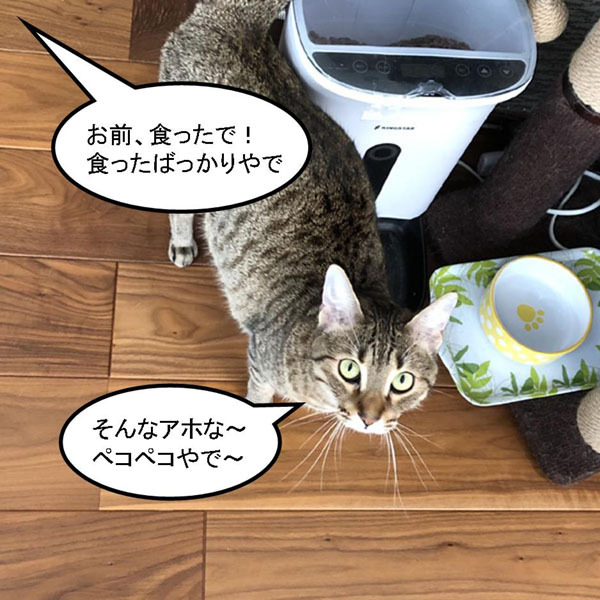 f:id:zutarou:20191204171446j:plain