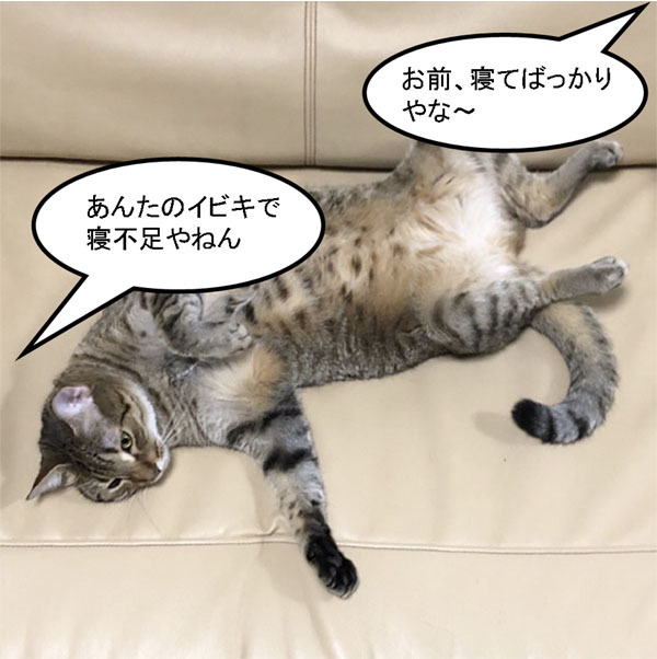 f:id:zutarou:20191204171456j:plain