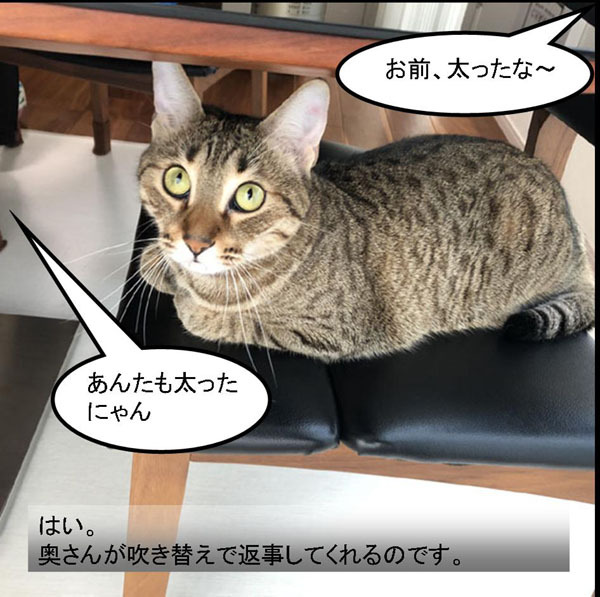 f:id:zutarou:20191204171505j:plain