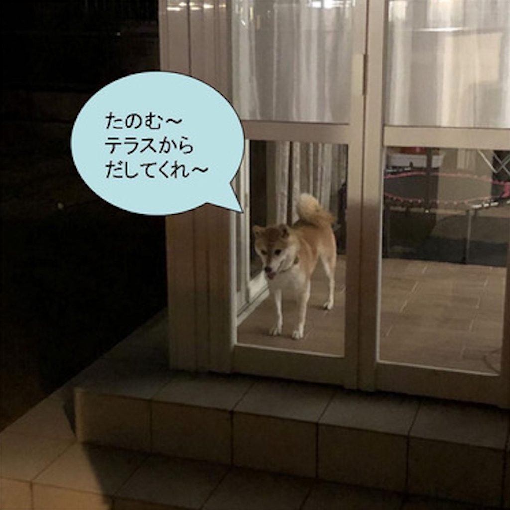 f:id:zutarou:20191205023200j:image