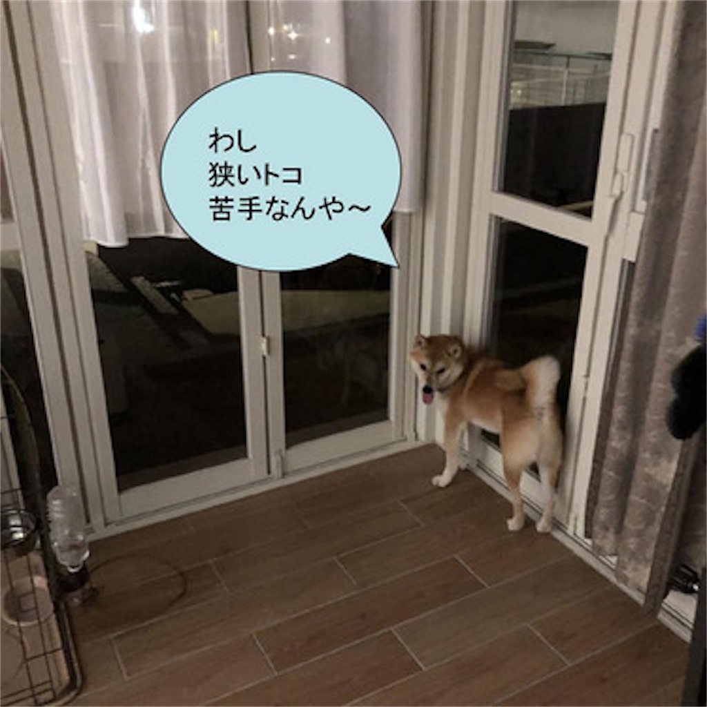 f:id:zutarou:20191205023226j:image