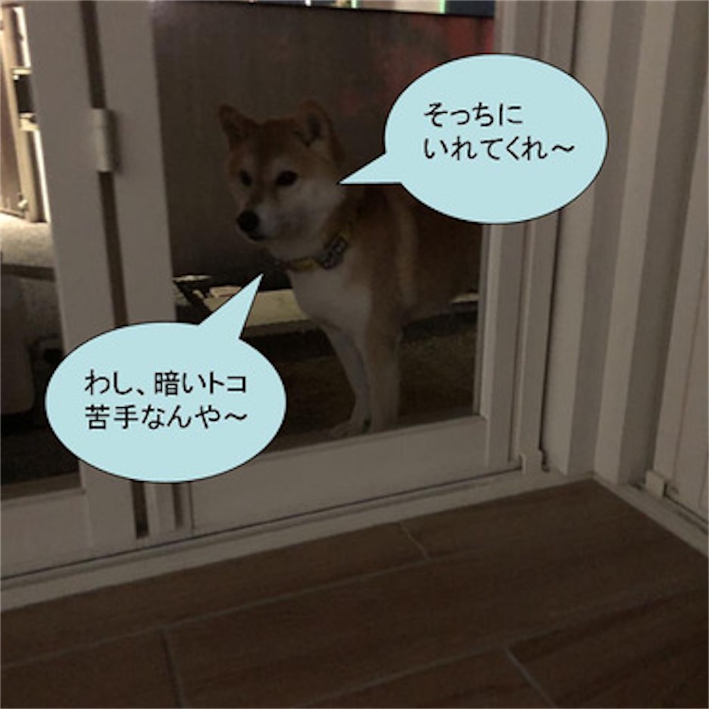 f:id:zutarou:20191205023240j:image