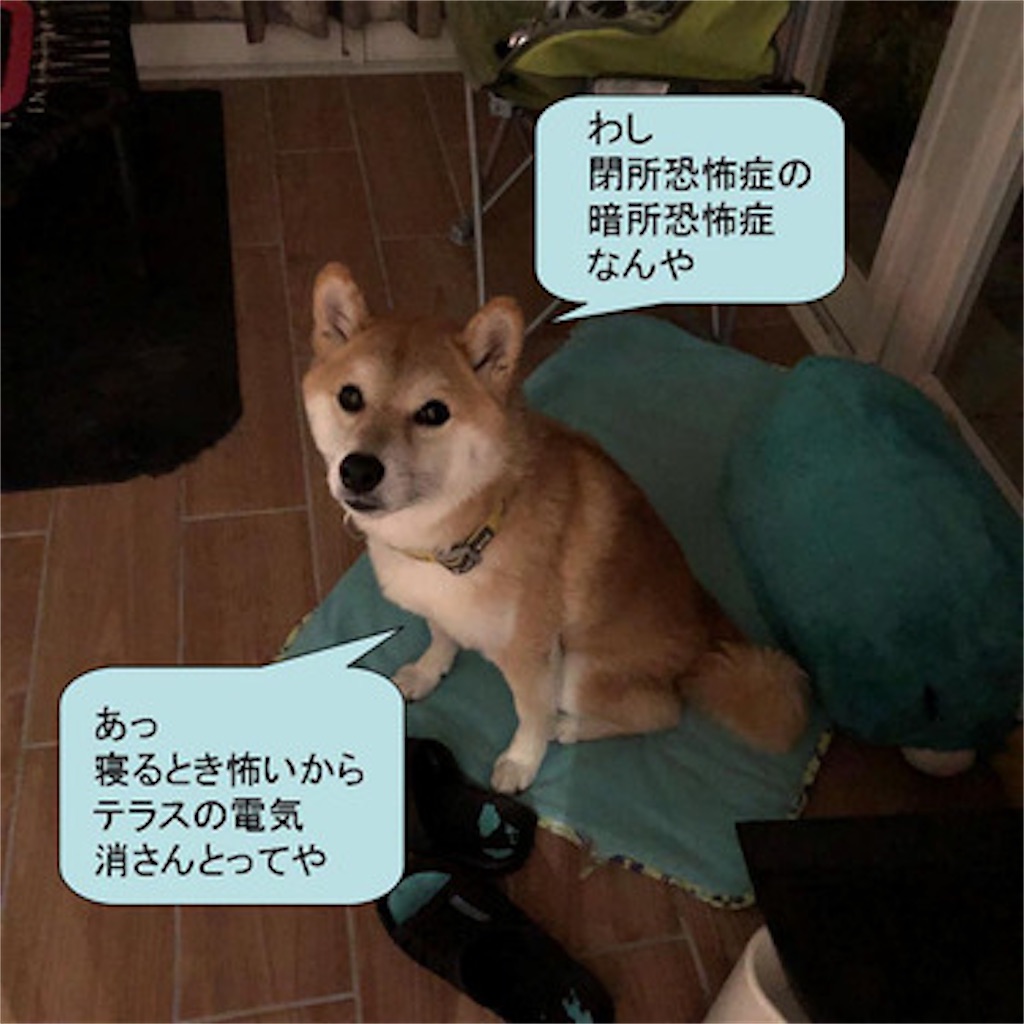 f:id:zutarou:20191205023251j:image