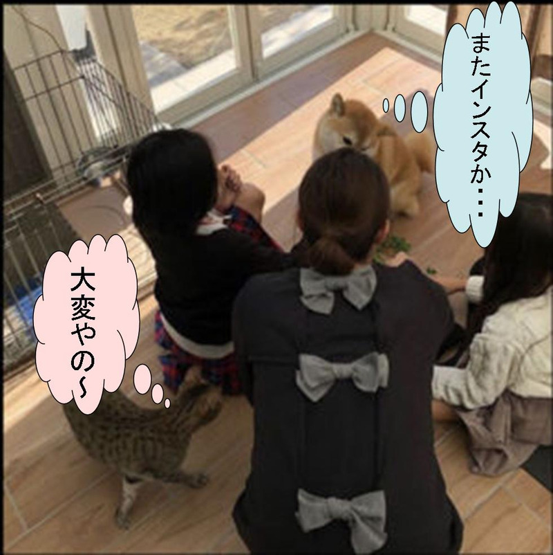 f:id:zutarou:20191206201504j:plain