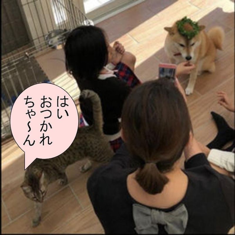 f:id:zutarou:20191206201535j:plain