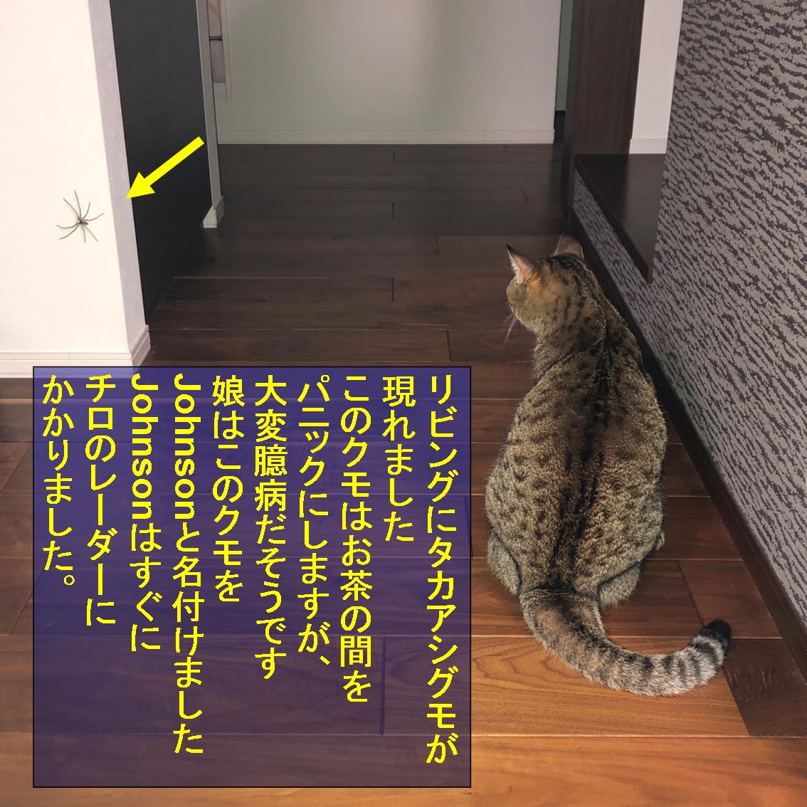 f:id:zutarou:20191207000006j:plain