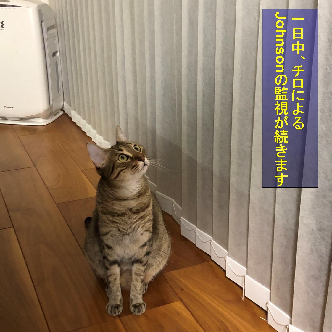 f:id:zutarou:20191207000016j:plain