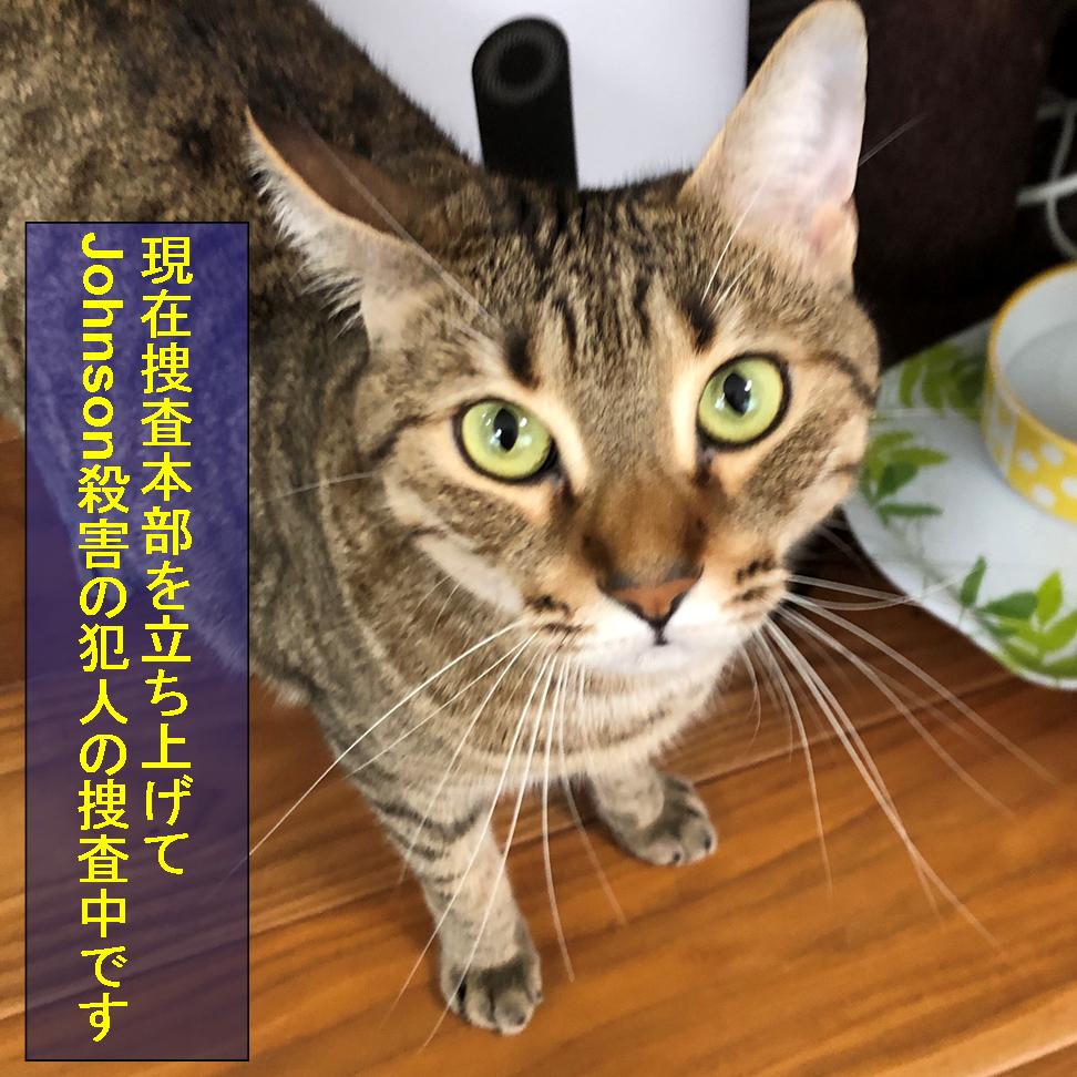 f:id:zutarou:20191207000033j:plain