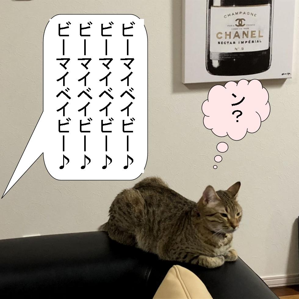 f:id:zutarou:20191207001228j:plain