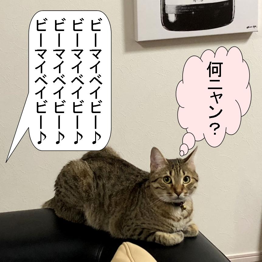 f:id:zutarou:20191207001238j:plain