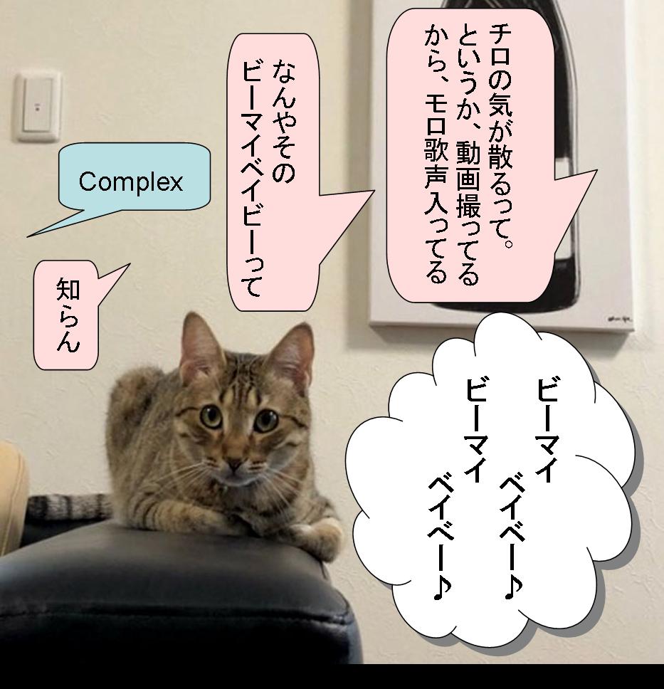 f:id:zutarou:20191207001247j:plain