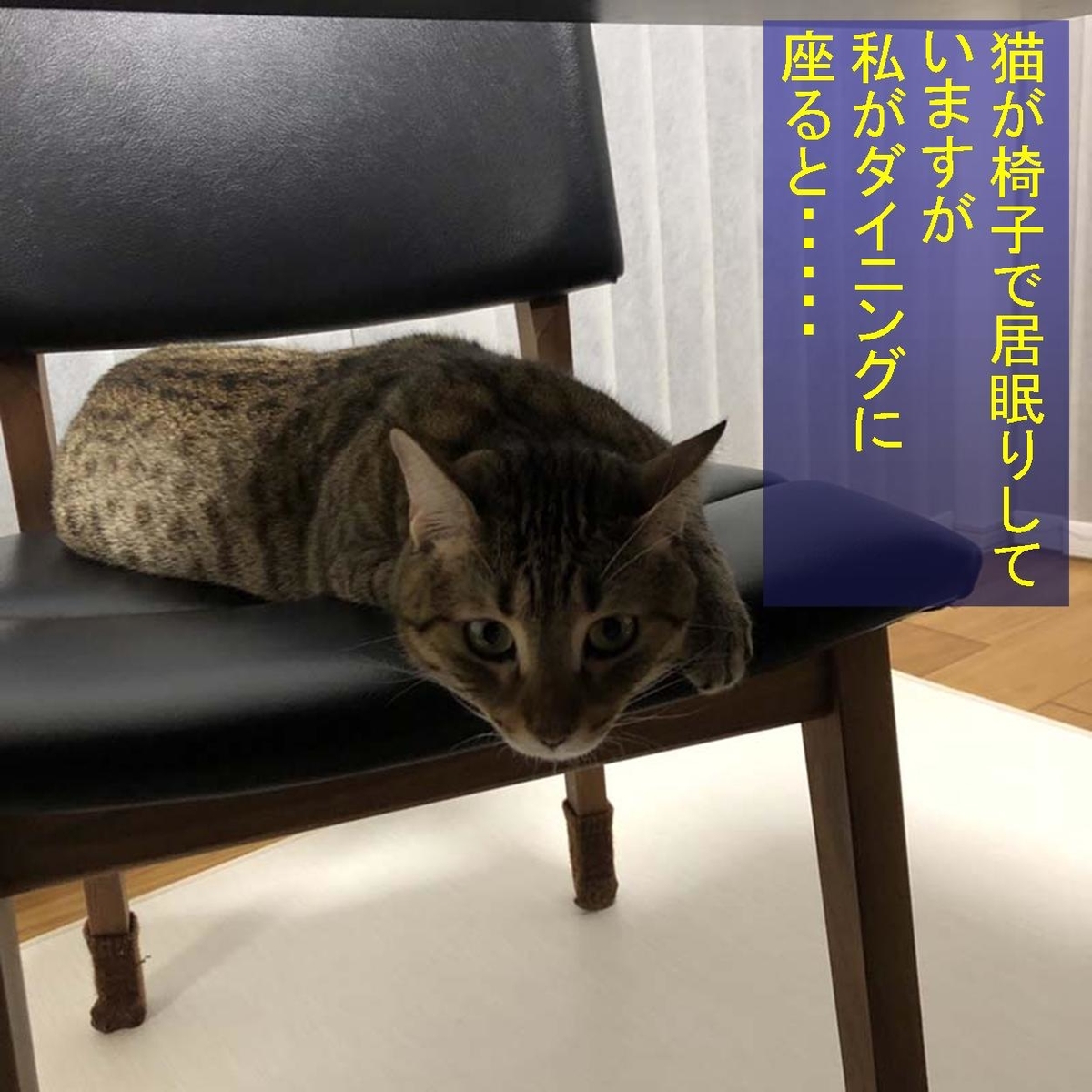 f:id:zutarou:20191207174439j:plain