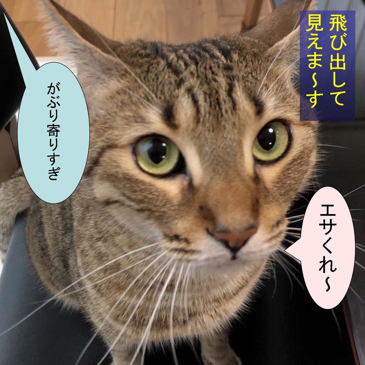 f:id:zutarou:20191207174447j:plain