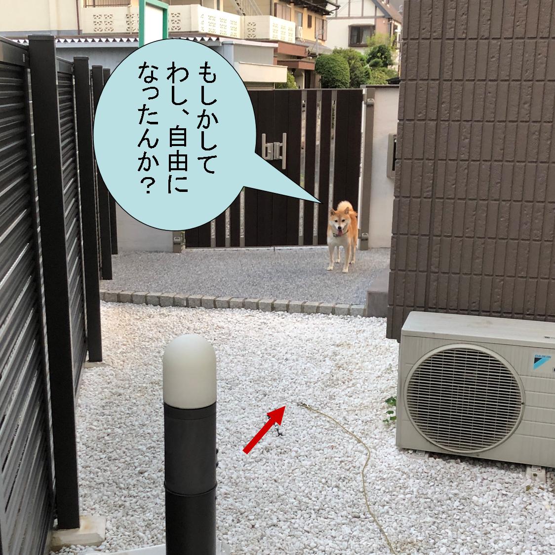 f:id:zutarou:20191207174821j:plain