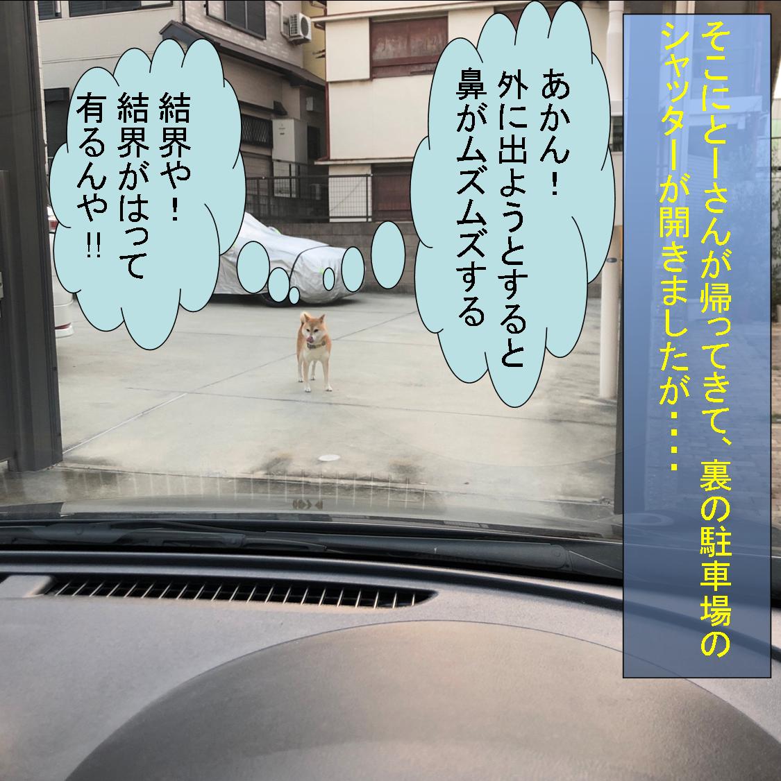 f:id:zutarou:20191207174839j:plain