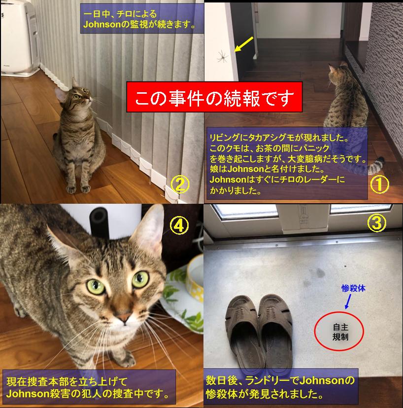 f:id:zutarou:20191207175004j:plain