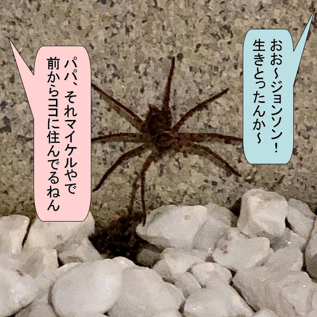 f:id:zutarou:20191207175013j:plain