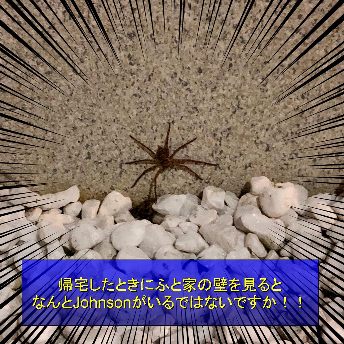 f:id:zutarou:20191207175031j:plain