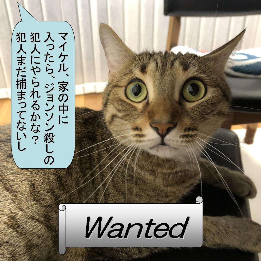 f:id:zutarou:20191207175052j:plain