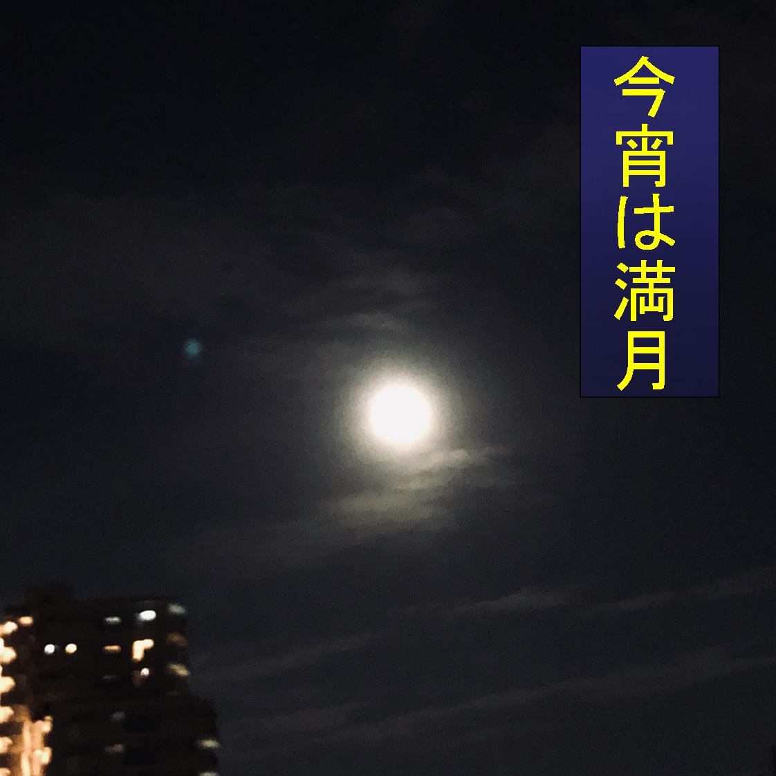 f:id:zutarou:20191207175147j:plain