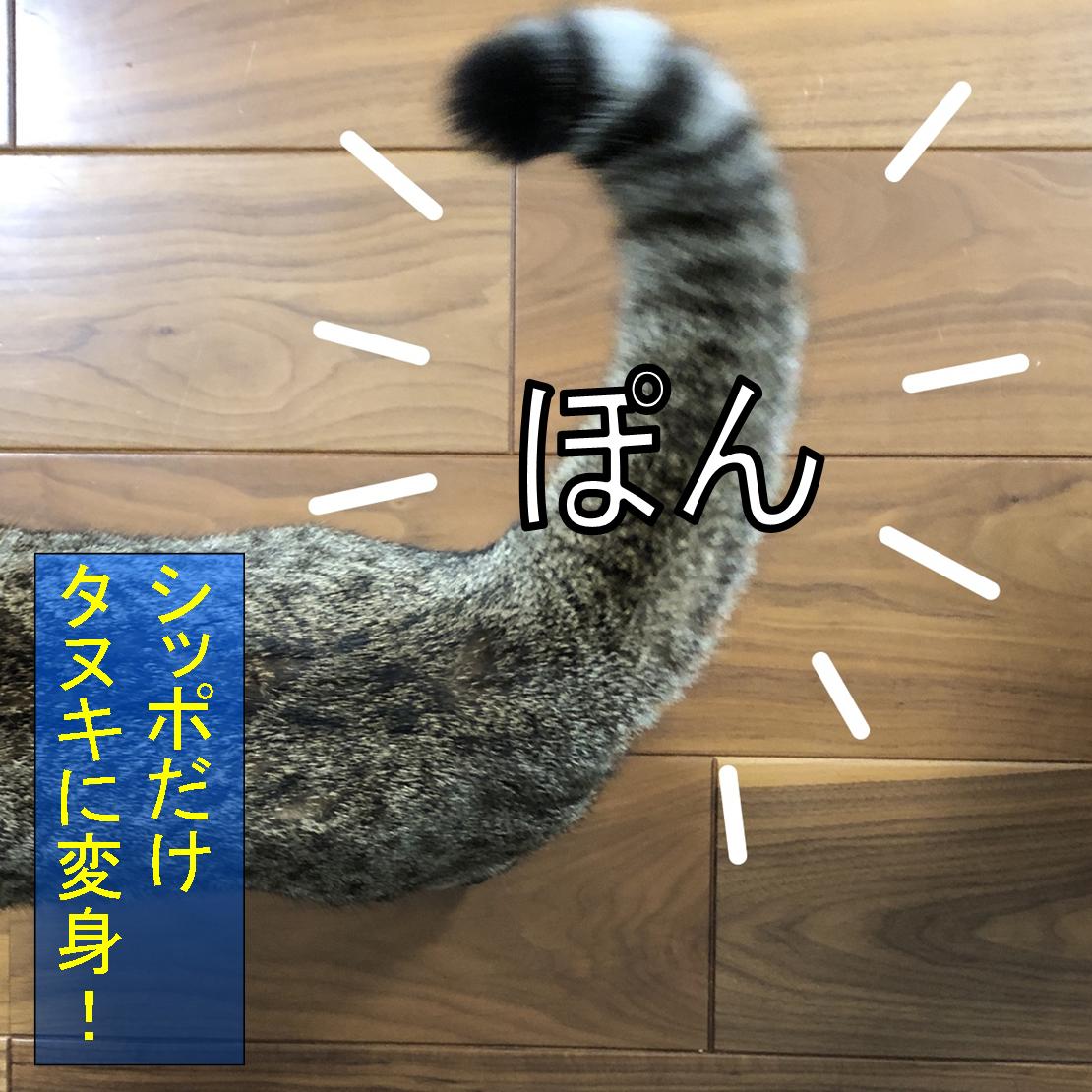 f:id:zutarou:20191207175219j:plain