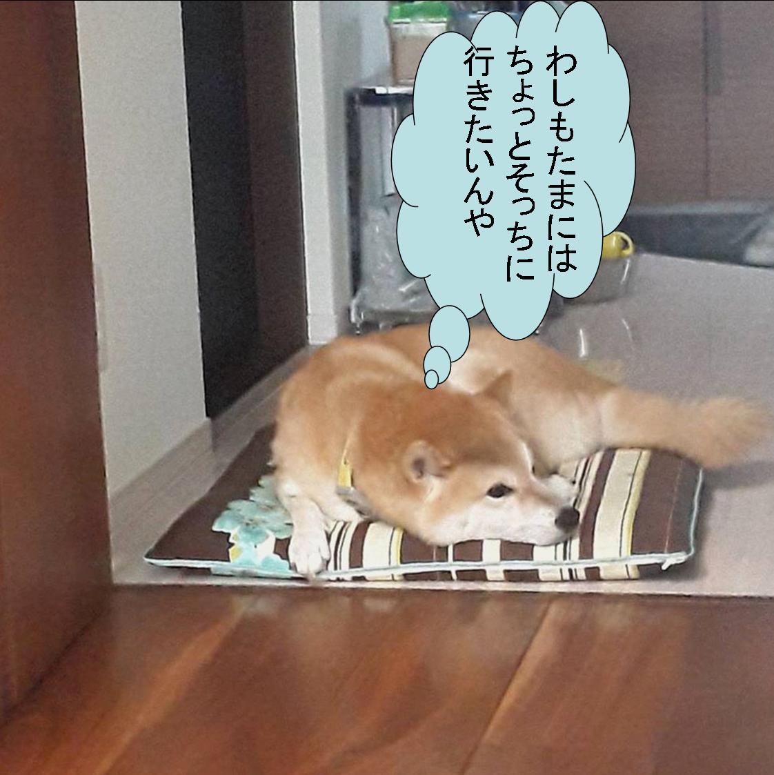 f:id:zutarou:20191207175336j:plain