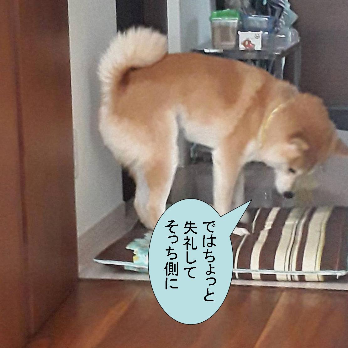 f:id:zutarou:20191207175356j:plain