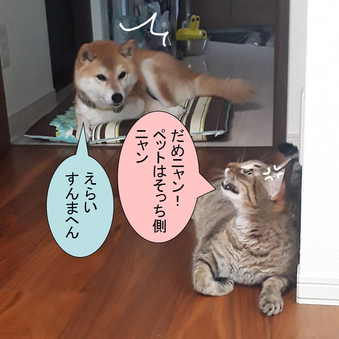 f:id:zutarou:20191207175422j:plain