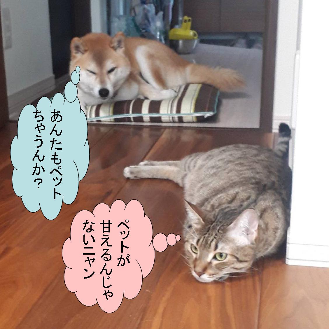 f:id:zutarou:20191207175432j:plain