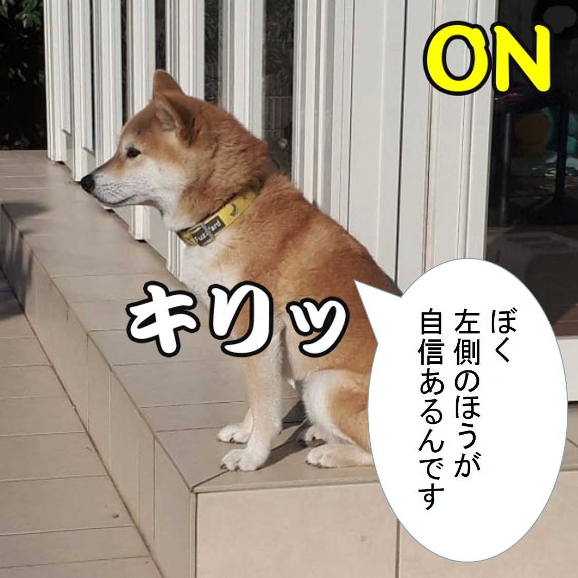 f:id:zutarou:20191207180125j:plain