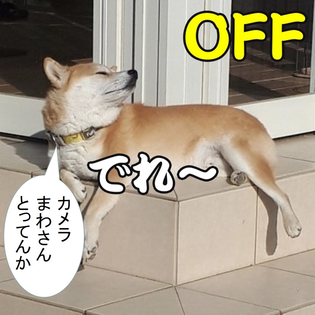 f:id:zutarou:20191207180139j:plain