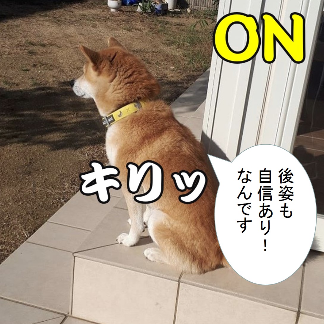 f:id:zutarou:20191207180146j:plain