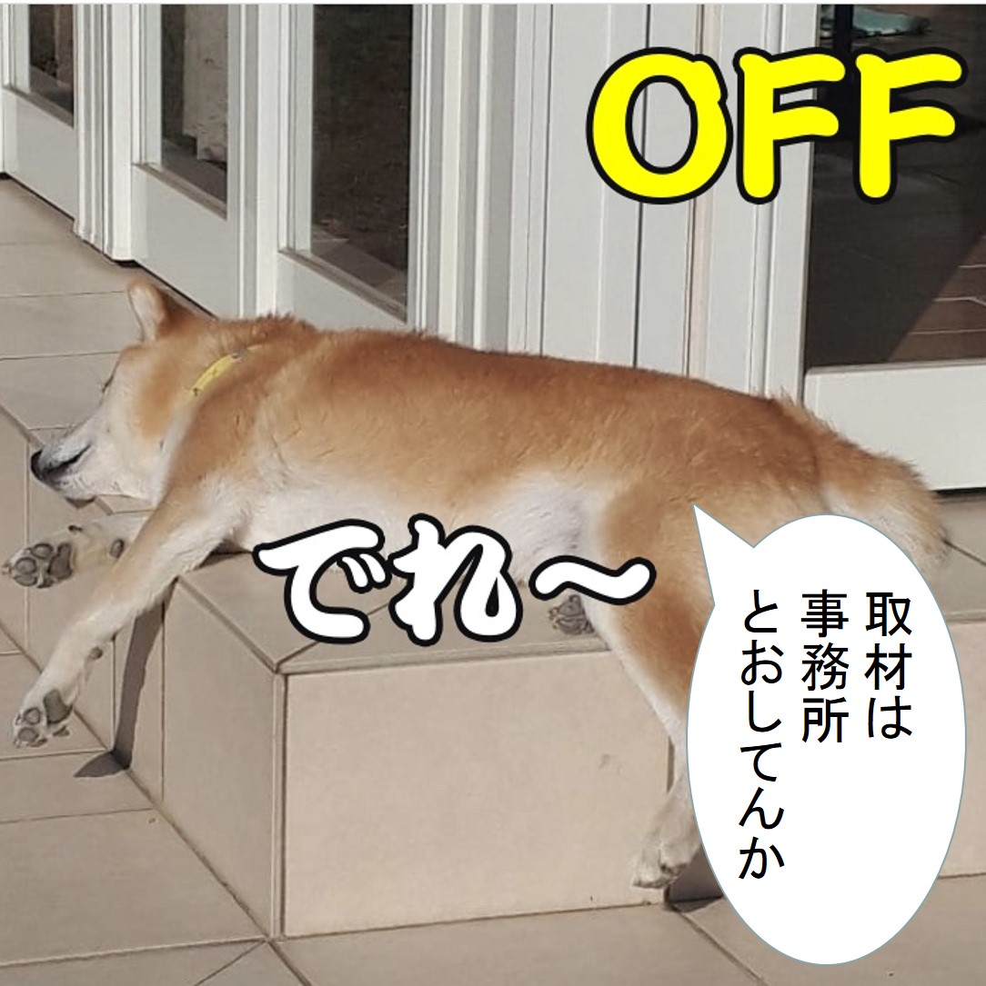 f:id:zutarou:20191207180154j:plain