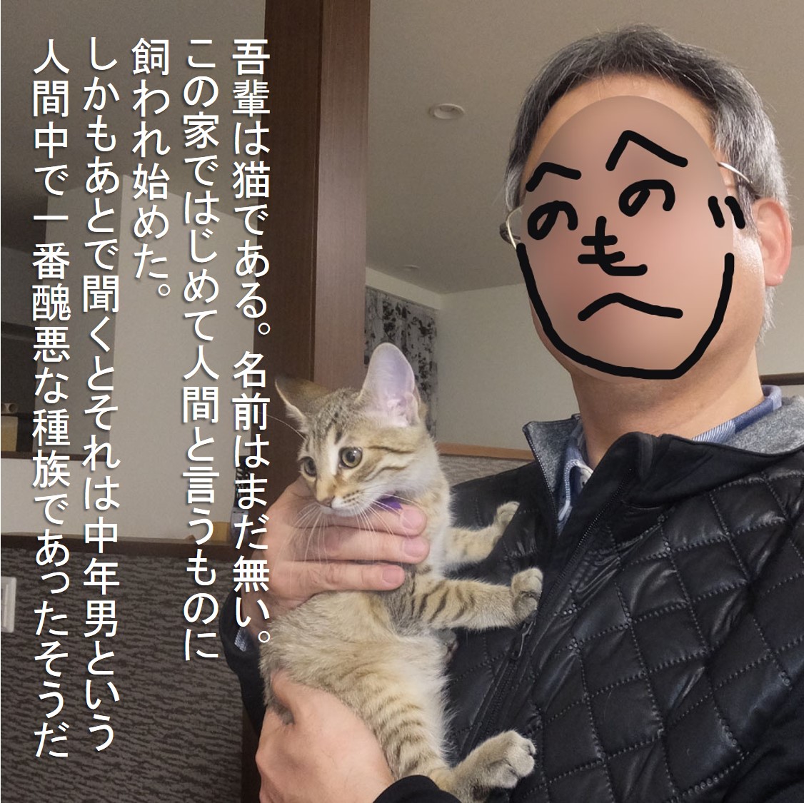 f:id:zutarou:20191207180644j:plain