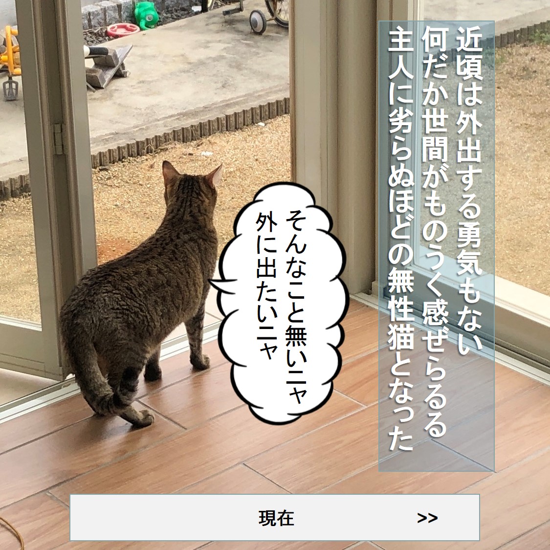 f:id:zutarou:20191207180708j:plain