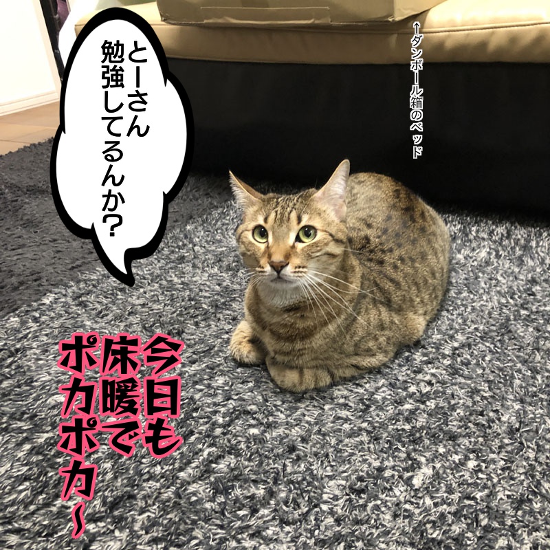 f:id:zutarou:20191209000429j:plain