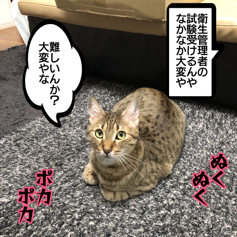 f:id:zutarou:20191209000438j:plain