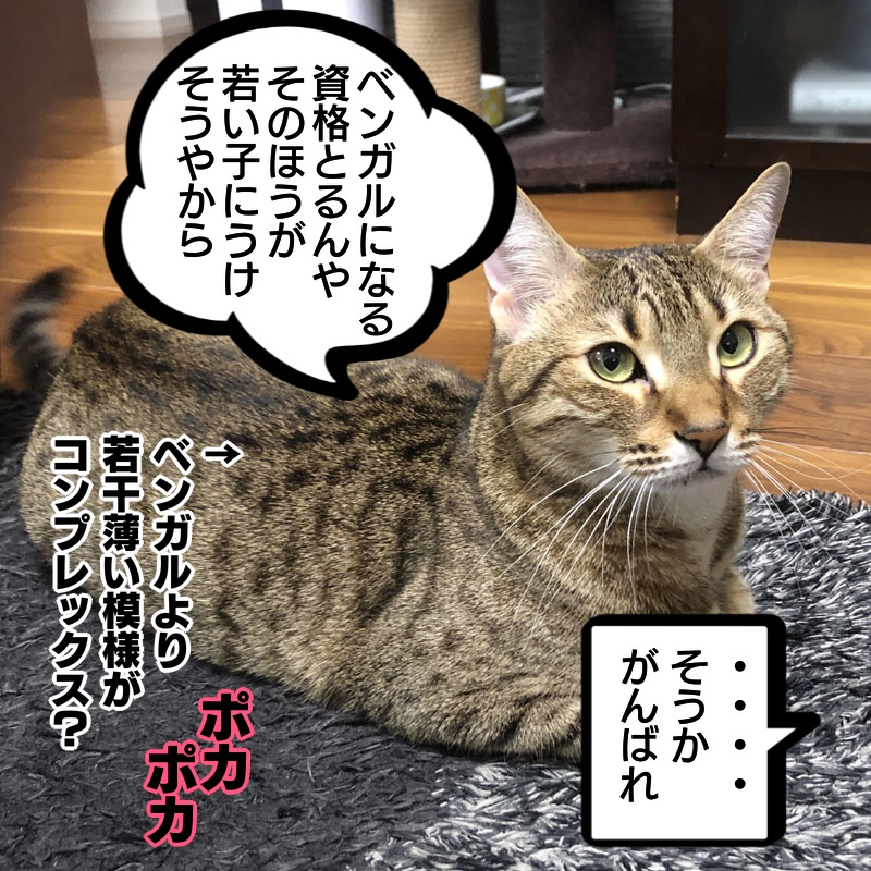 f:id:zutarou:20191209000456j:plain