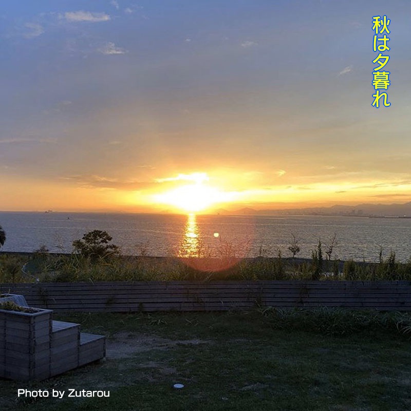 f:id:zutarou:20191209225412j:plain