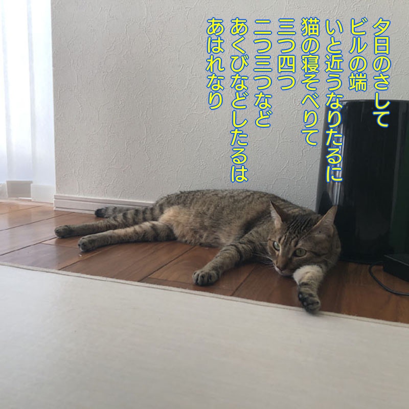 f:id:zutarou:20191209225423j:plain