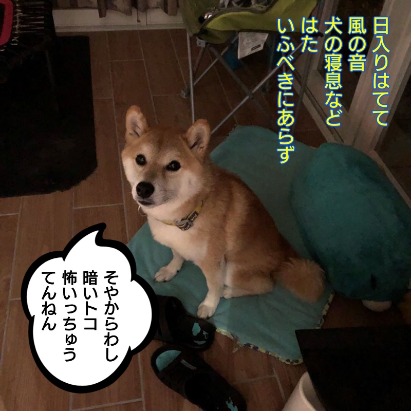 f:id:zutarou:20191209225443j:plain