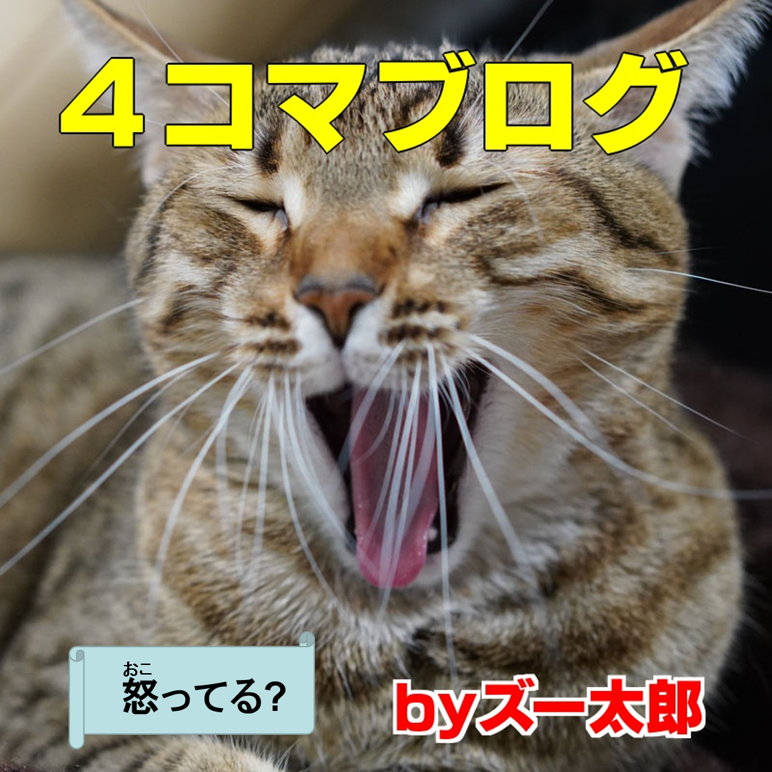 4コマ漫画 55 怒ってる イヌとネコの4コマ写真漫画