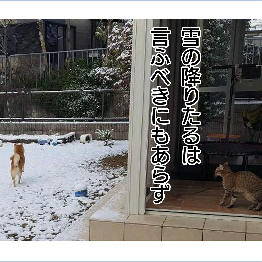 f:id:zutarou:20200127235452p:plain