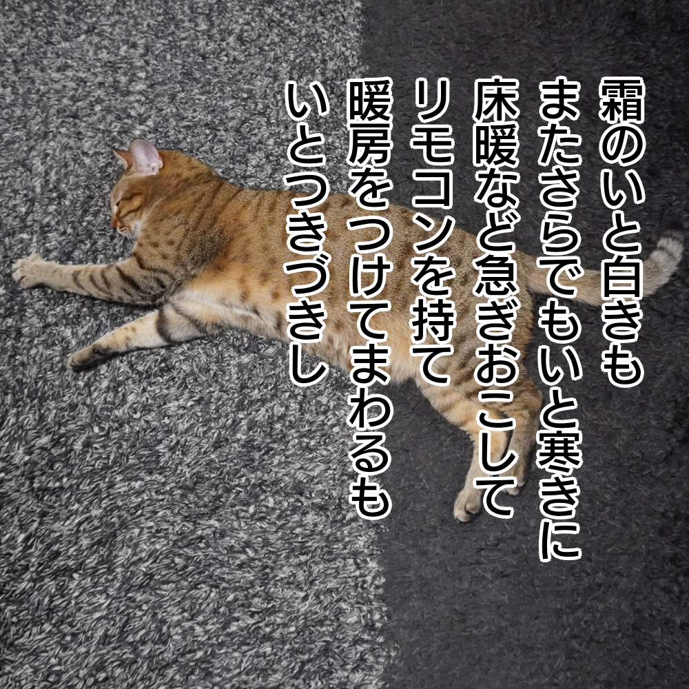 f:id:zutarou:20200127235505p:plain