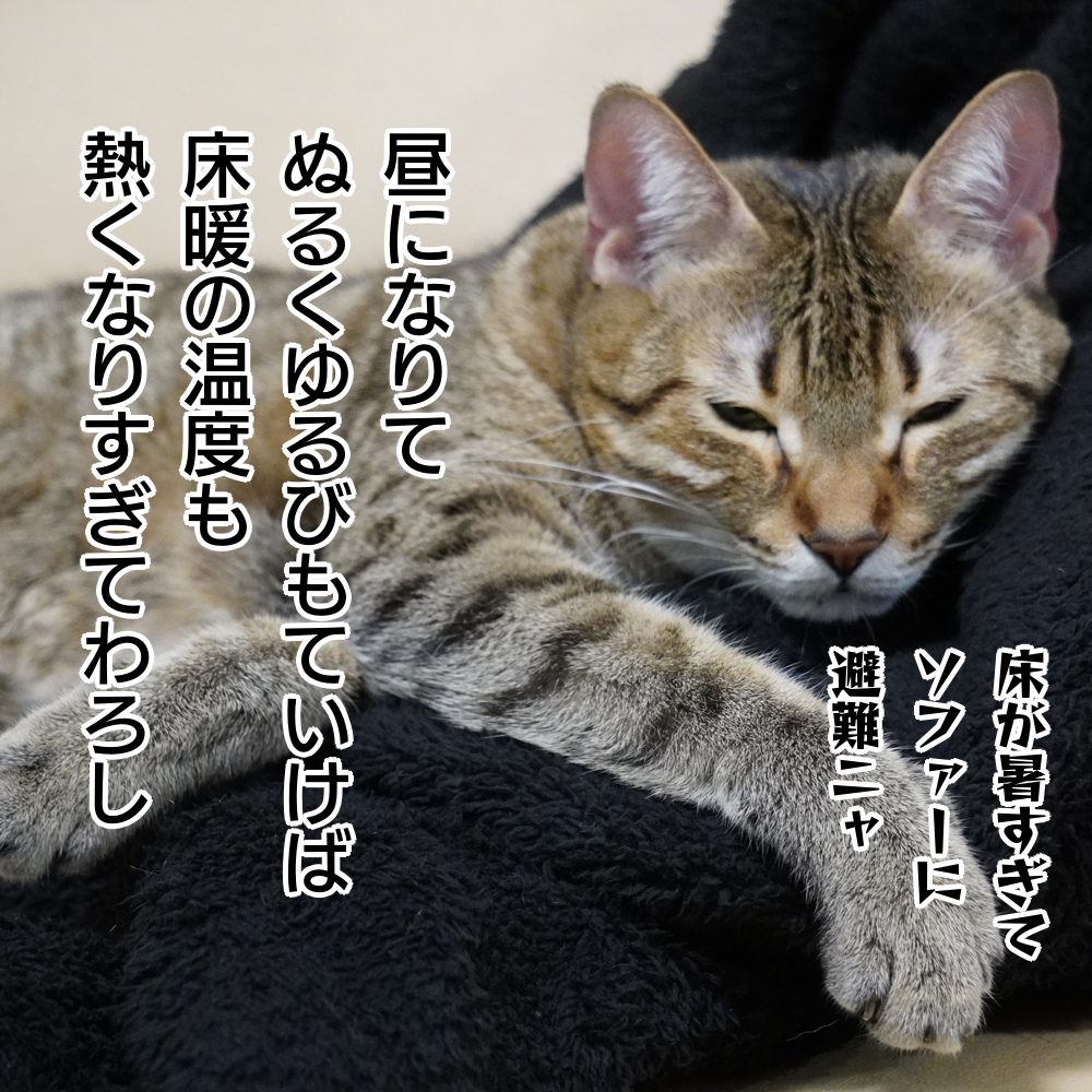 f:id:zutarou:20200127235517p:plain