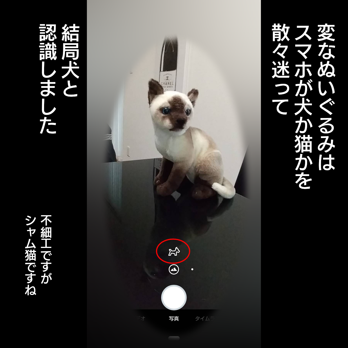 f:id:zutarou:20200202082737p:plain