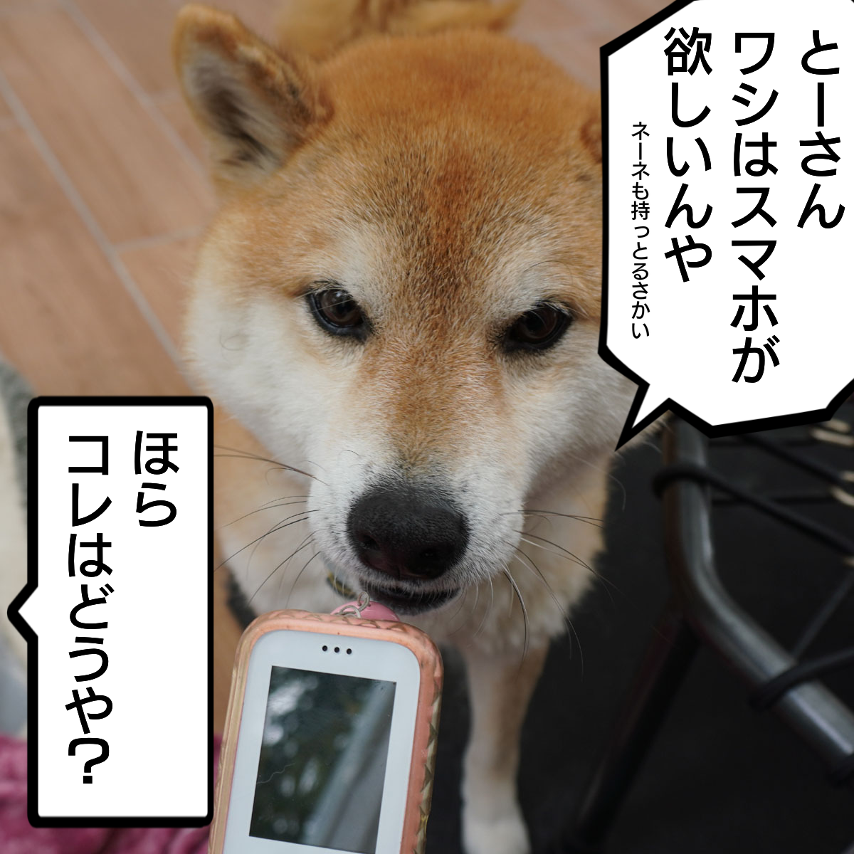 f:id:zutarou:20200207224910p:plain