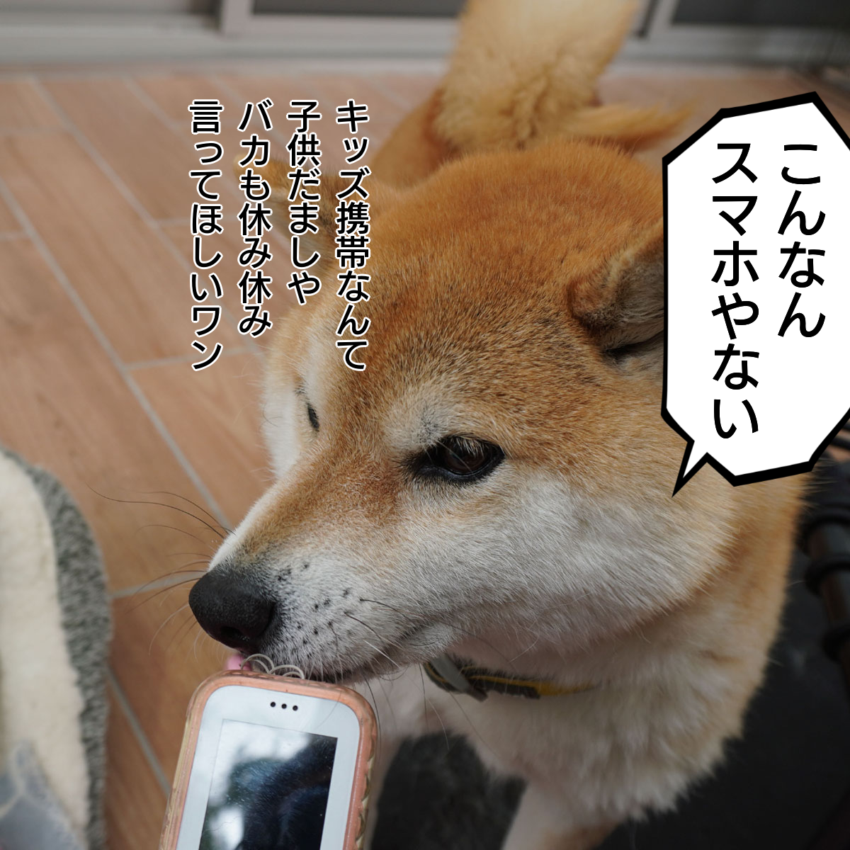 f:id:zutarou:20200207224924p:plain