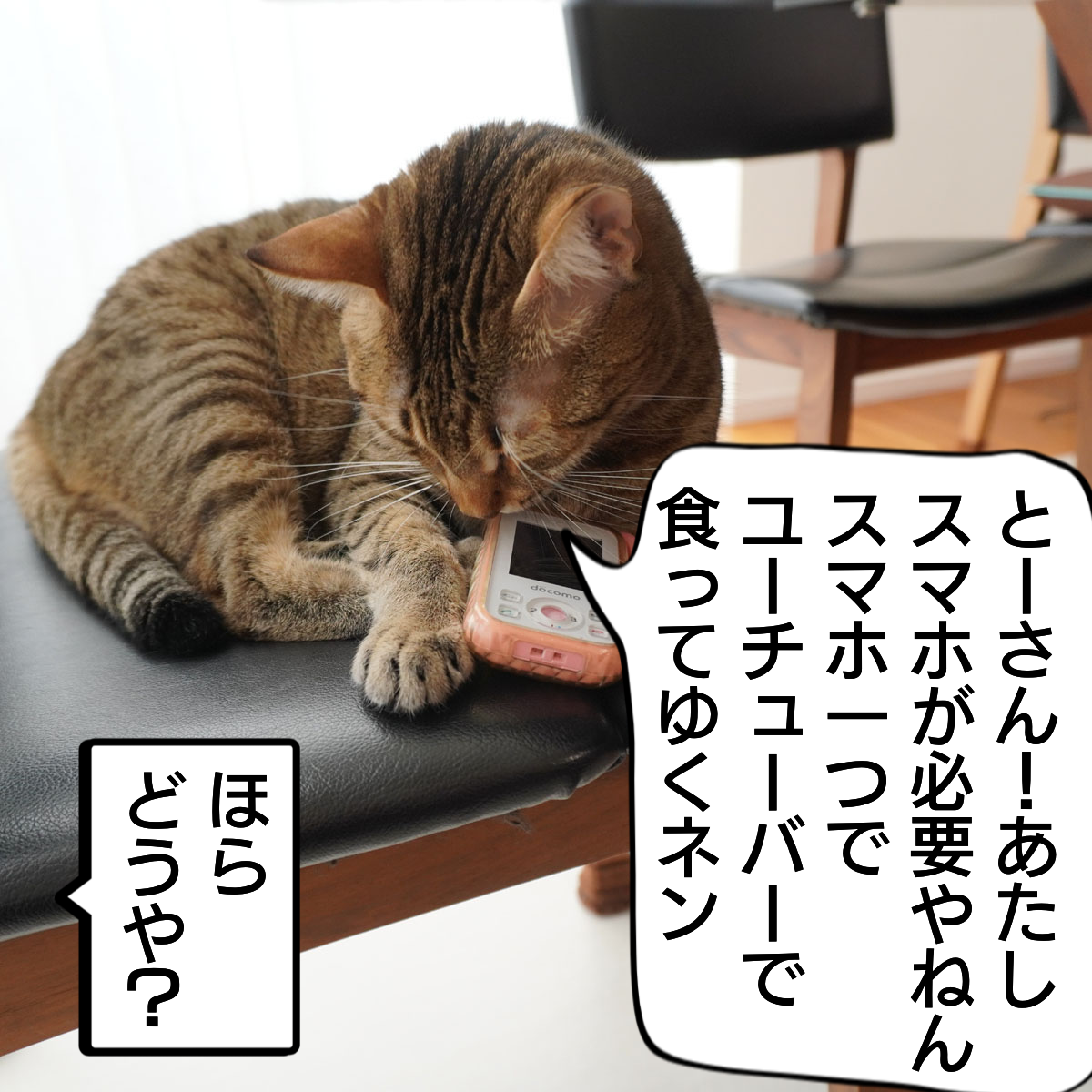 f:id:zutarou:20200207224940p:plain